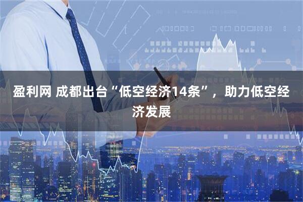 盈利网 成都出台“低空经济14条”，助力低空经济发展