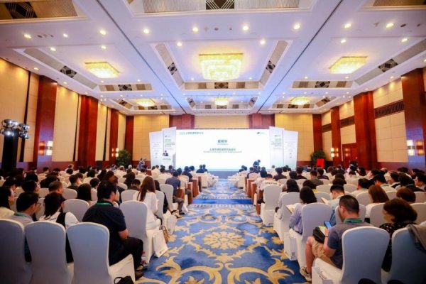 股票king 4.22亿平方米“绿色版图”，见证申城可持续发展新高度