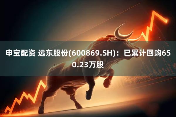申宝配资 远东股份(600869.SH)：已累计回购650.23万股
