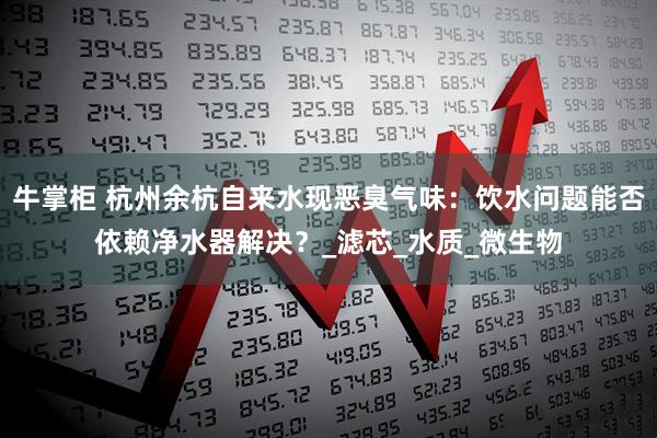 牛掌柜 杭州余杭自来水现恶臭气味：饮水问题能否依赖净水器解决？_滤芯_水质_微生物