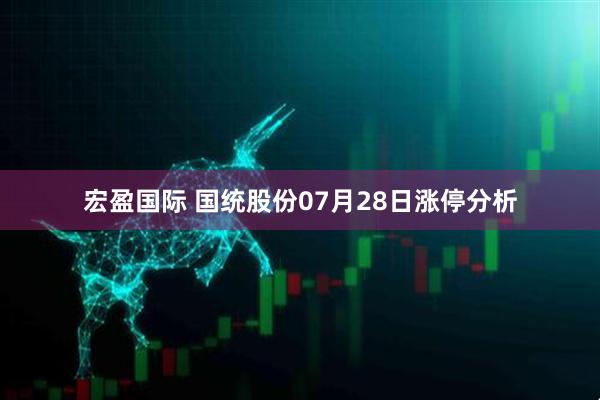 宏盈国际 国统股份07月28日涨停分析