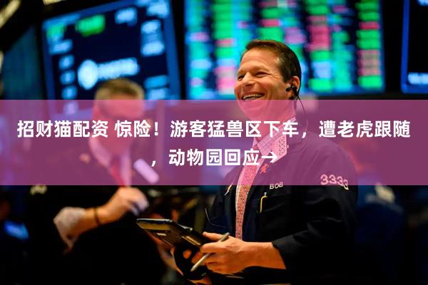 招财猫配资 惊险！游客猛兽区下车，遭老虎跟随，动物园回应→