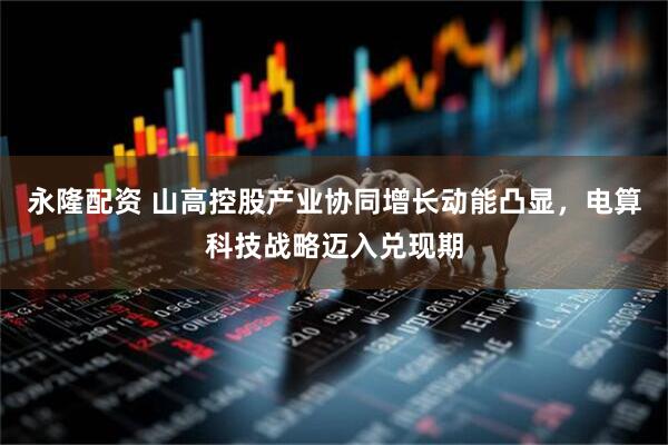 永隆配资 山高控股产业协同增长动能凸显，电算科技战略迈入兑现期
