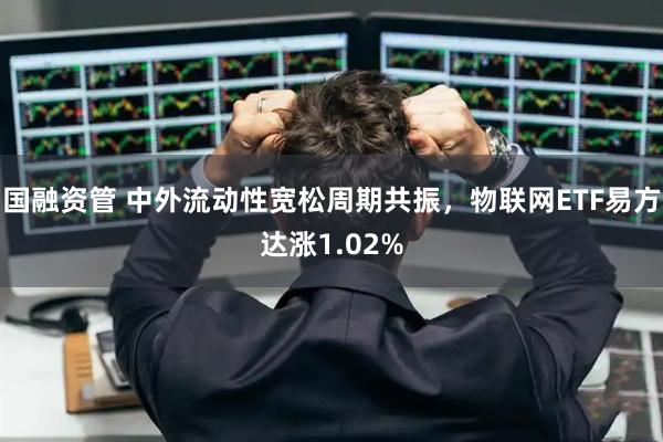 国融资管 中外流动性宽松周期共振，物联网ETF易方达涨1.02%
